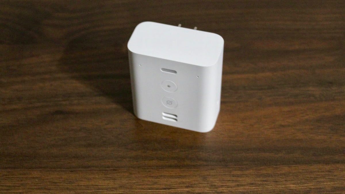 Image of Echo Flex on table