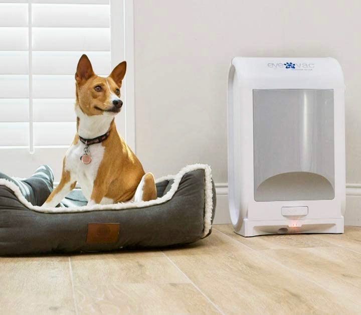The EyeVac touchless vac near a dog.