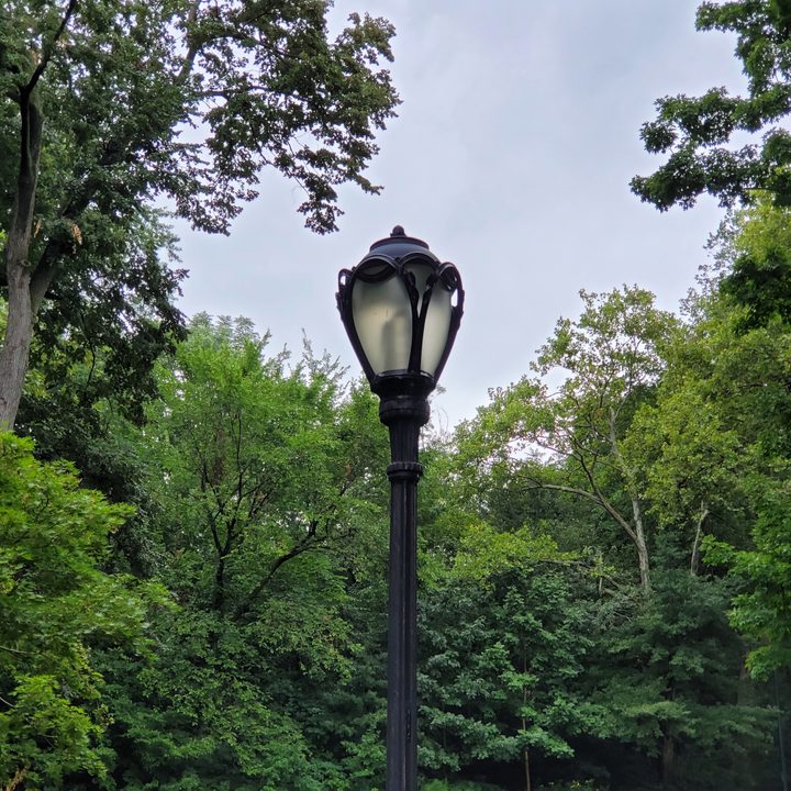 samsung galaxy z fold 2 5g review camera sample