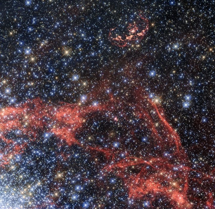 The gauzy remains of a Type Ia supernova in a neighboring galaxy called the Large Magellanic Cloud.