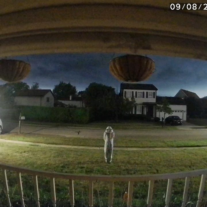 Girl standing in front of my house taken with the HomeHawk Window