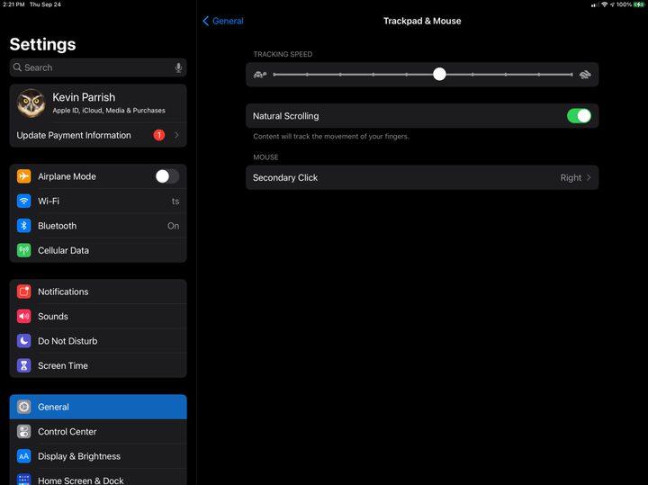 Ipad Change Mouse Settings