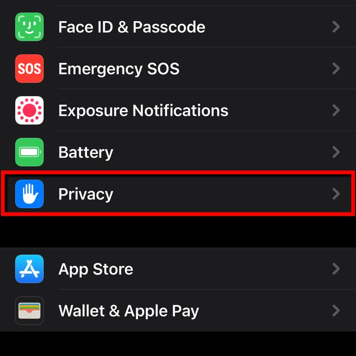 iPhone Select Privacy Setting