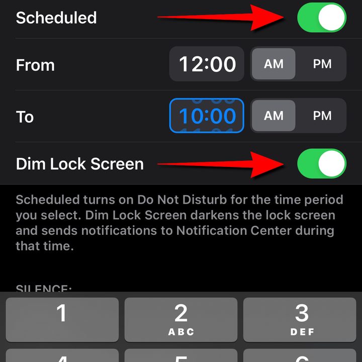 iPhone Set Do Not Disturb Schedule