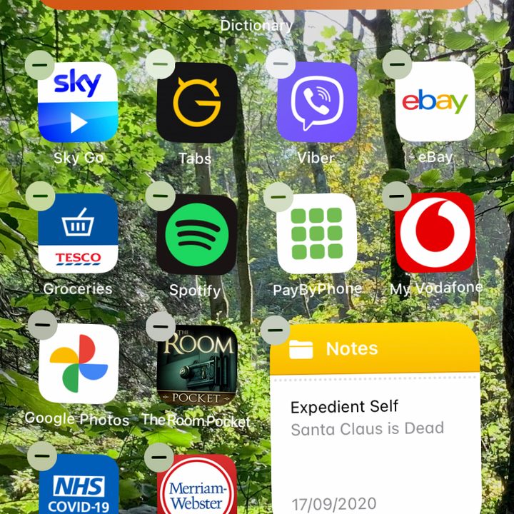 Merriam-Webster Dictionary widget home screen
