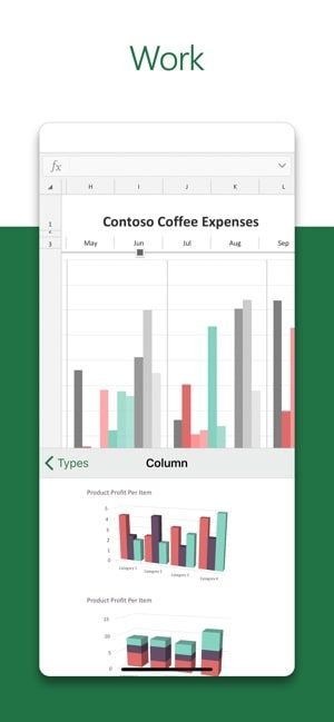Screenshot of the Microsoft Excel app with text saying "Work" and a picture of a bar graph