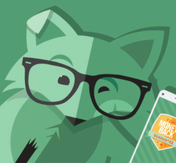 Mint Mobile fox logo.