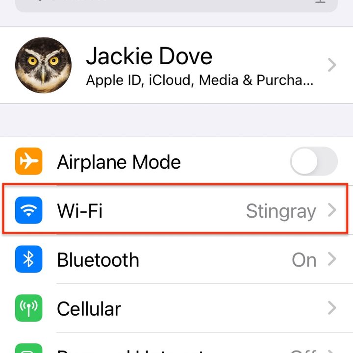 iOS 14 Network Privacy.