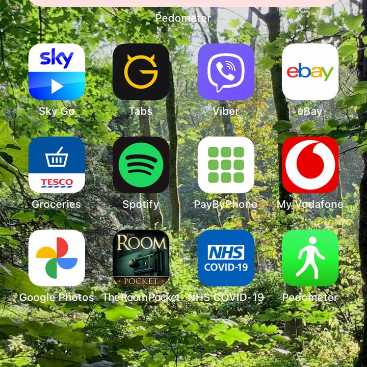 Pedometer++ home screen widget