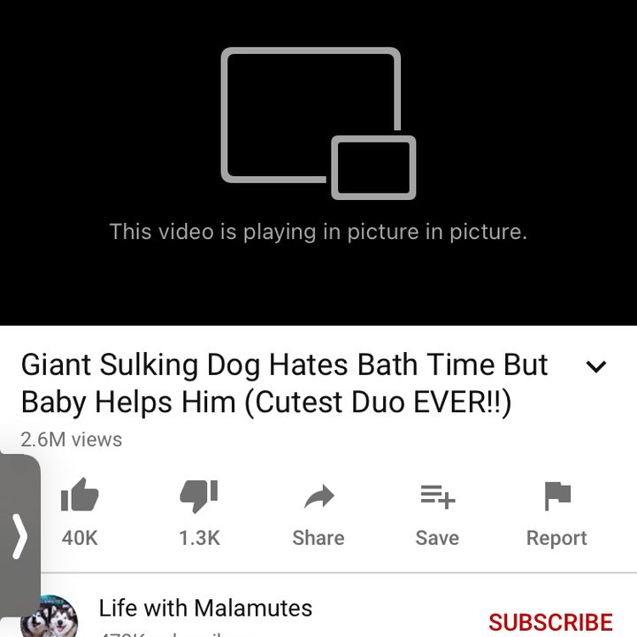Apple iOS 14 picture in picture for YouTube.