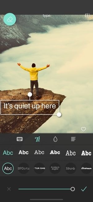 Screenshot of the Pixlr app showing a picture with options for adding text