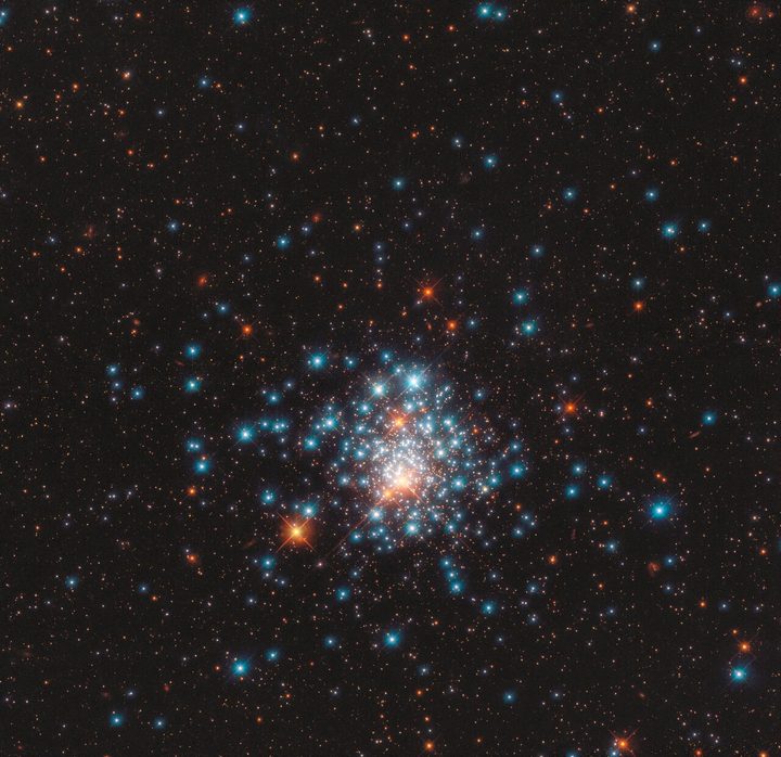 Many colorful stars are packed close together in this image of the globular cluster NGC 1805, taken by the NASA/ESA Hubble Space Telescope.