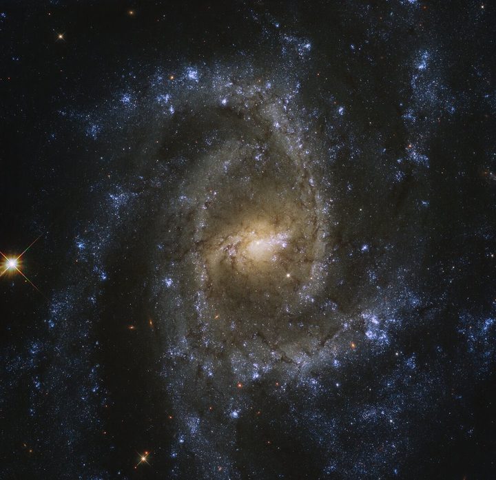 The twisting patterns created by the multiple spiral arms of NGC 2835 create the illusion of an eye.