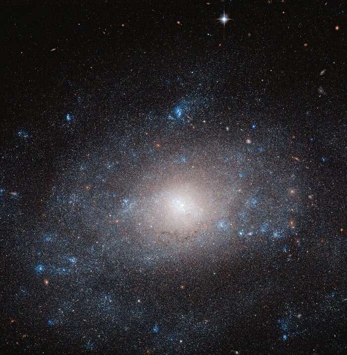Resting on the tail of the Great Bear in the constellation of Ursa Major, lies NGC 5585, a spiral galaxy that is more than it appears shown in this image captured by the Hubble Space Telescope.