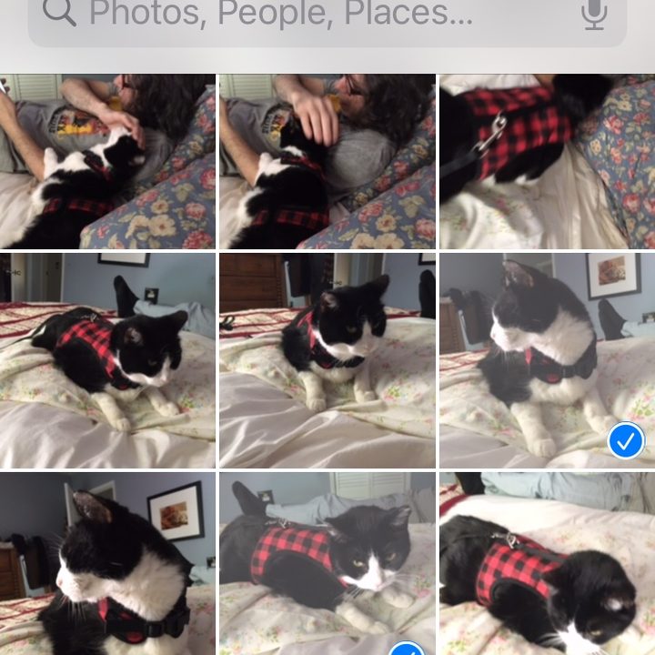iOS 14 Private Photos image controls.