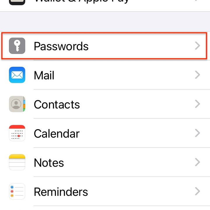 iOS 14 Passwords.