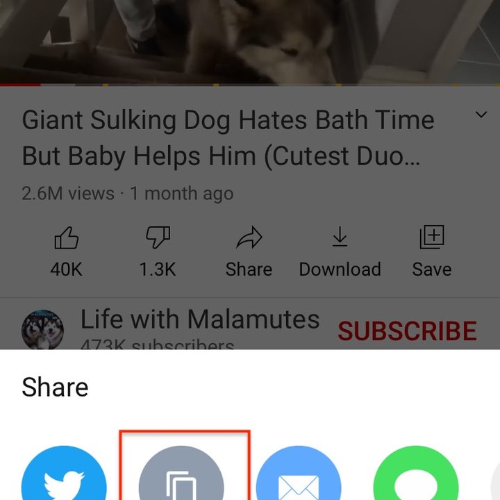 how to use ios 14 picture in mode watch video saf3