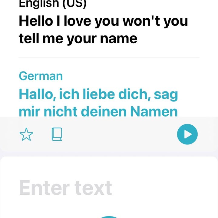 iOS 14 Translate app example.