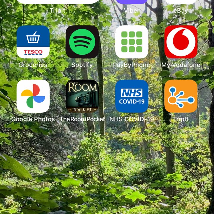 TripIt home screen widget