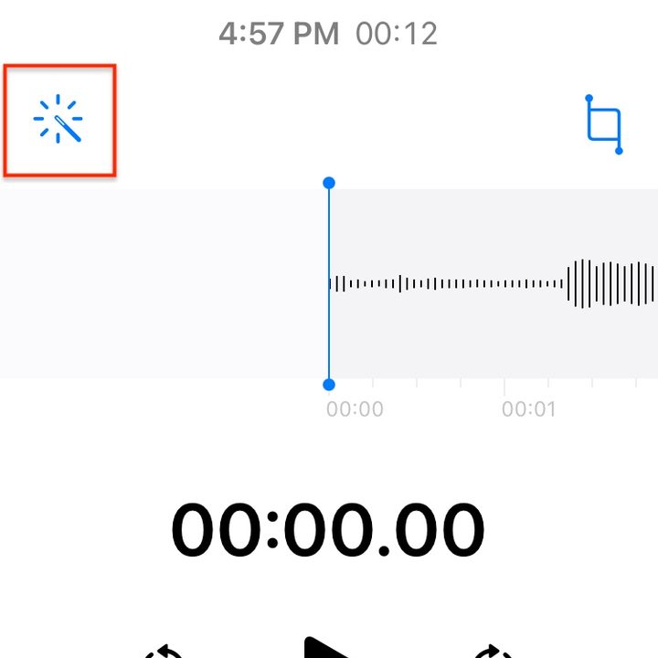 Voice Memo iOS 14 soundwave.