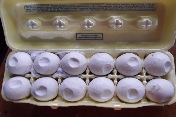Decoy turtle eggs