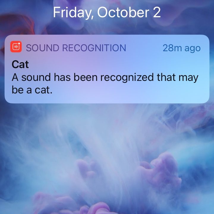 major ios 14 accessibility features benefit everyone cat sound