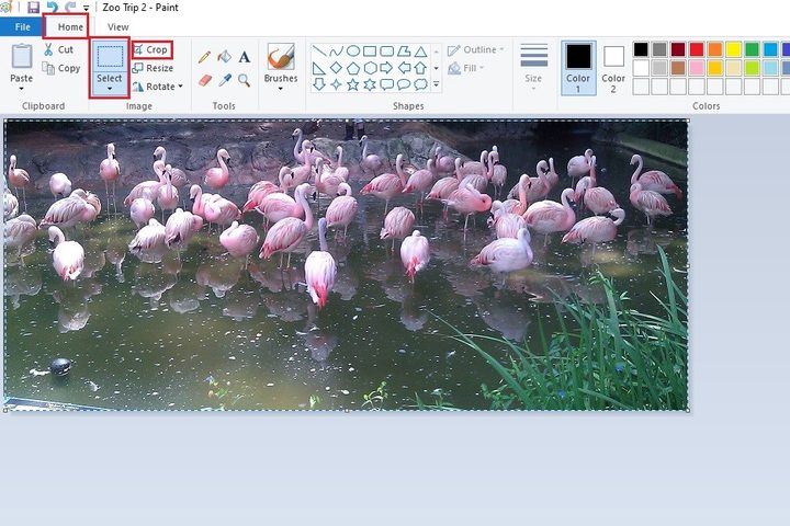 Cropping in Paint screenshot