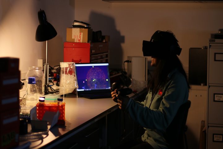 VR look inside cells