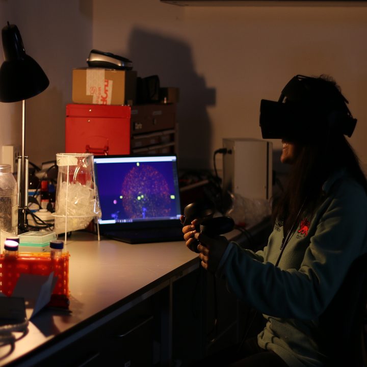 VR look inside cells.