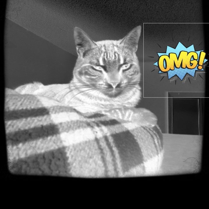 Gif Me Add Sticker