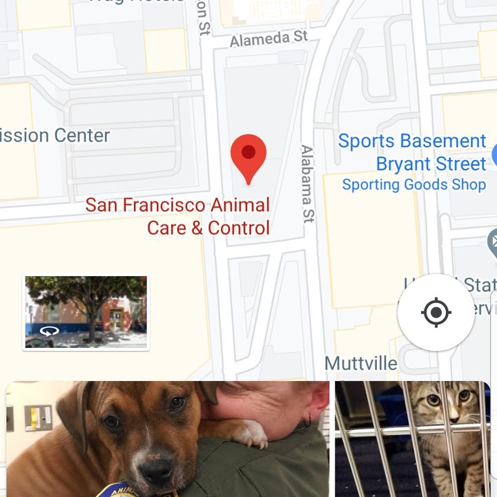 Screenshot of Google Maps on mobile, showing a dropped pin on San Francisco Animal Care and Control