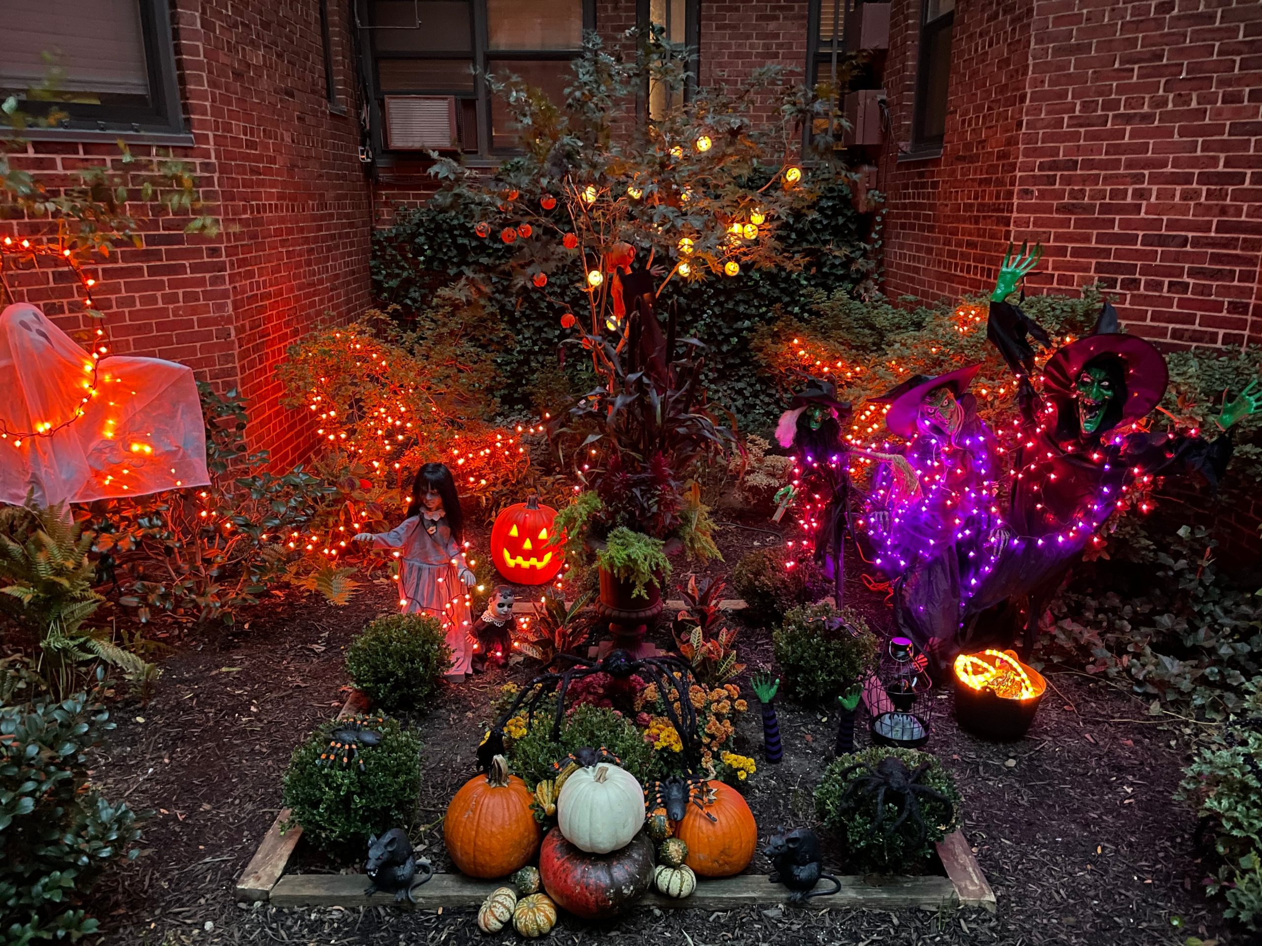 apple iphone 12 pro review camera sample 9