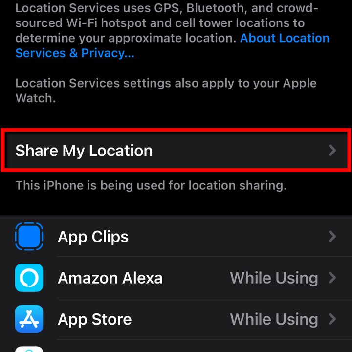 iPhone select Share My Location.