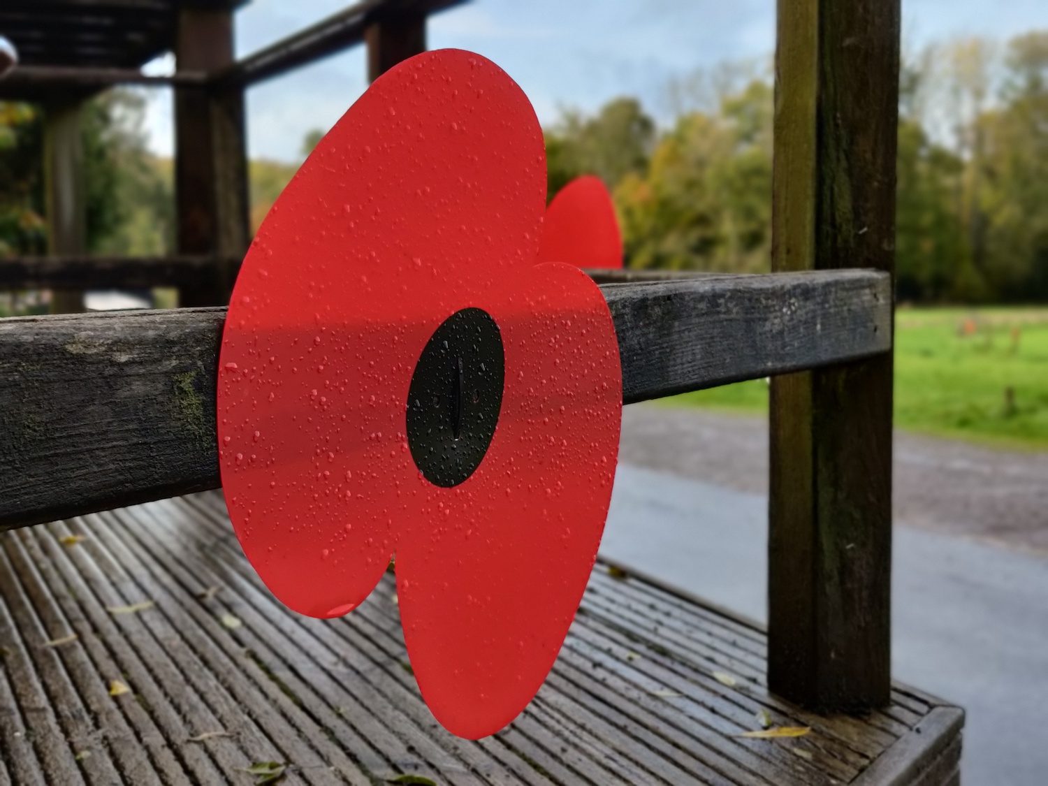 pixel 5 oneplus 8t galaxy s20 fe shootout buying guide poppy portrait