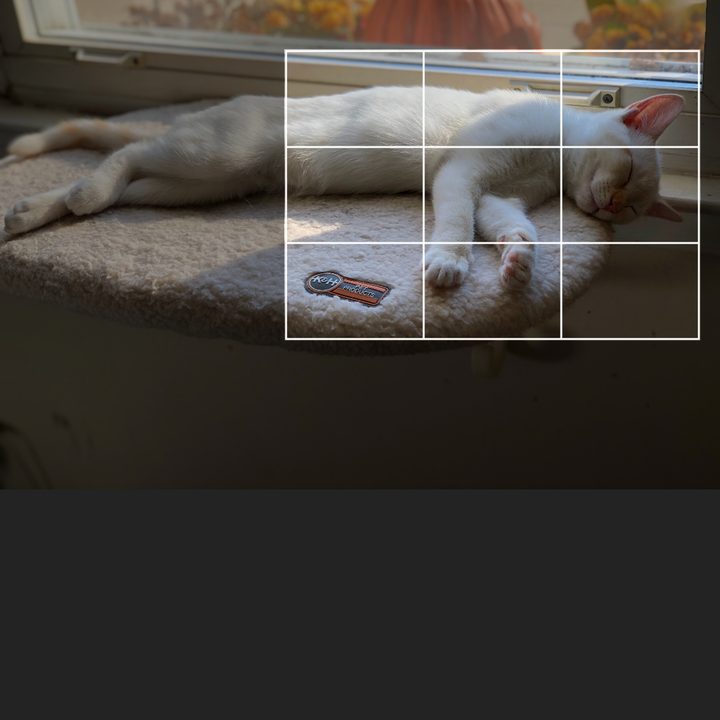 Pixlr App Apply Crop Change