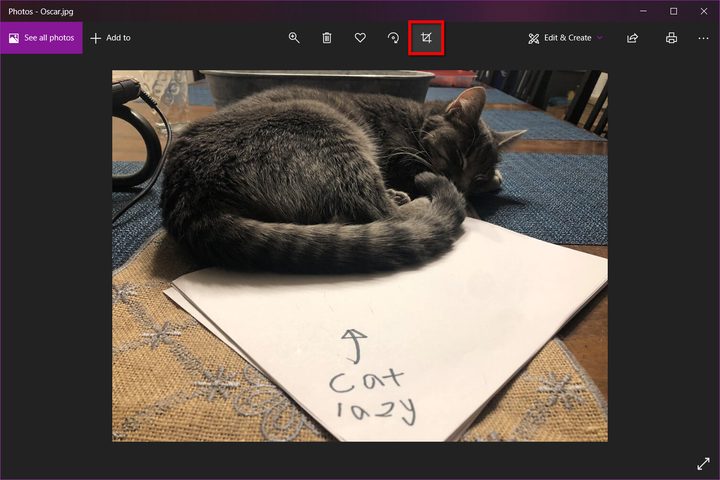 Windows 10 Photos App Select Crop