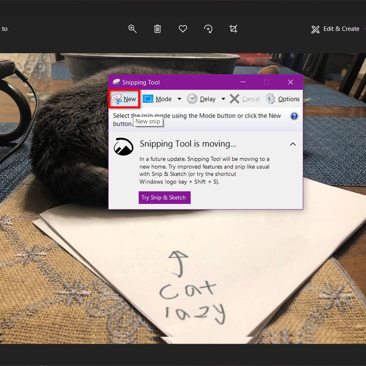 Windows 10 Use Snipping Tool