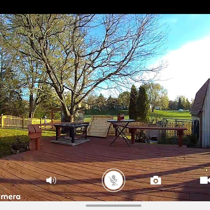 Screenshot of the camera view in the app