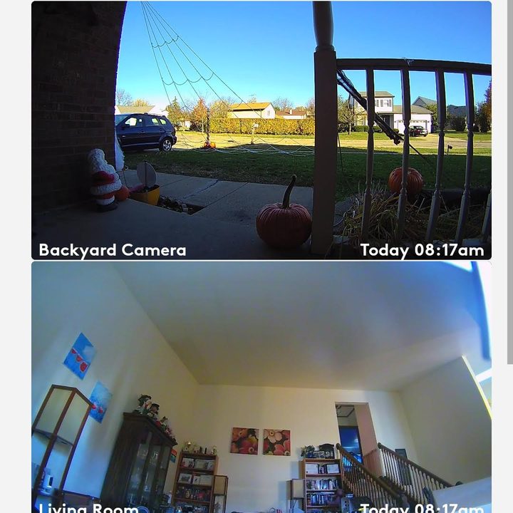 Screenshot of the Blue by ADT app