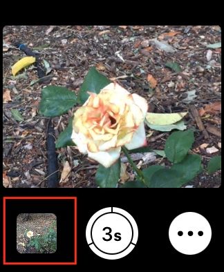 Apple Watch Camera Remote preview.