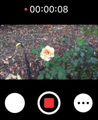 Apple Watch Camera Remote video.