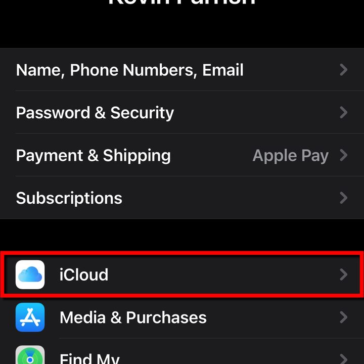 iPhone Select iCloud.