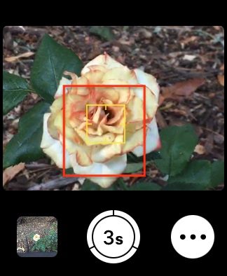 Apple Watch Camera Remote image frame.
