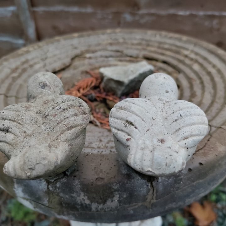 oneplus nord n10 5g versus pixel 4a bird bath