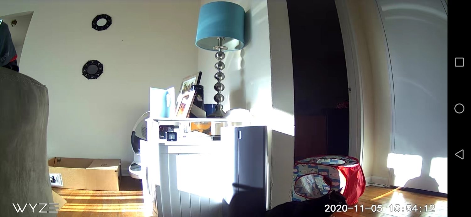 cheap security cameras advantages disadvantages comparison wyze cam v3 vs google nest iq indoor 5 of 8