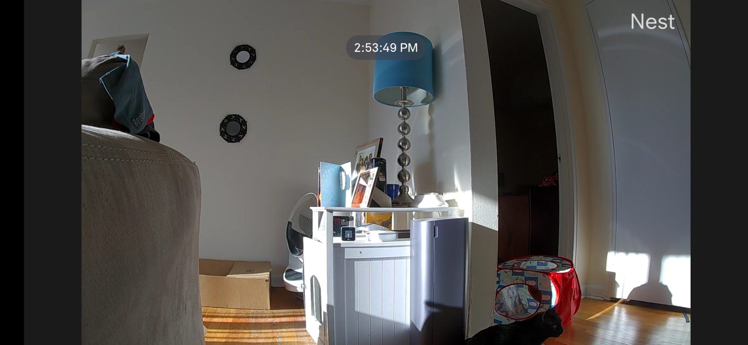 cheap security cameras advantages disadvantages comparison wyze cam v3 vs google nest iq indoor 6 of 8