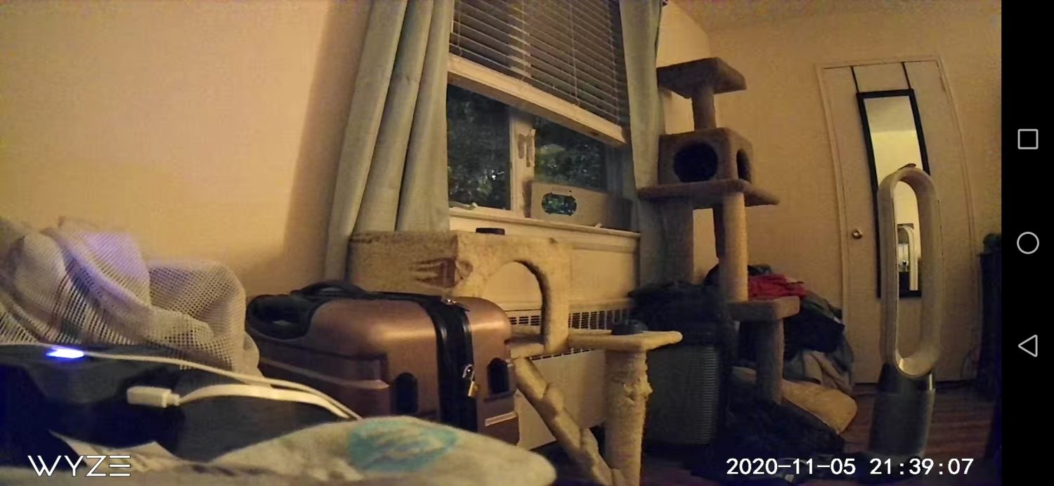 cheap security cameras advantages disadvantages comparison wyze cam v3 vs google nest iq indoor 8 of
