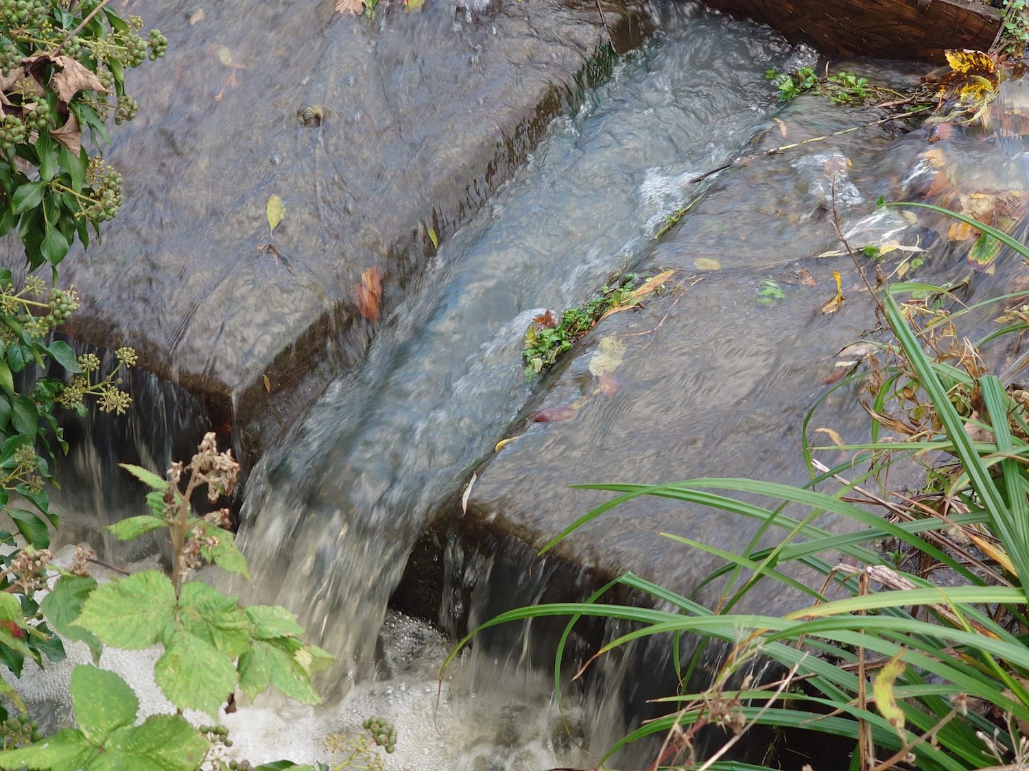 sony xperia 5 ii review water