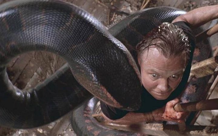 A giant Anaconda swarms a man on a ladder.