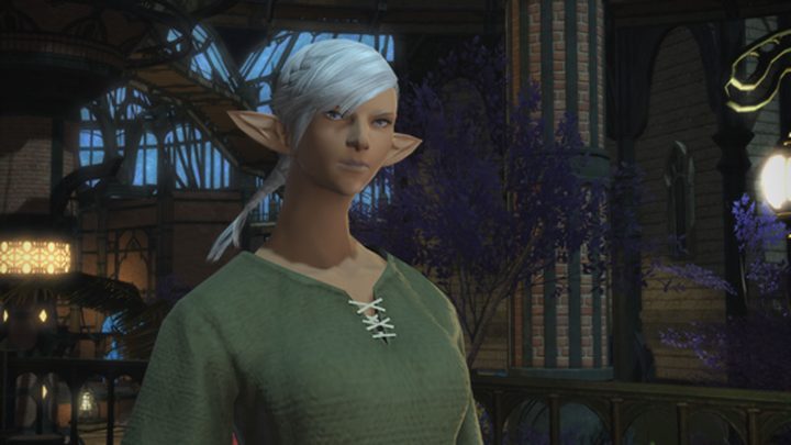 FFXIV 5.4 Role Quests